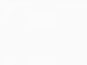 neolith-arctic-white